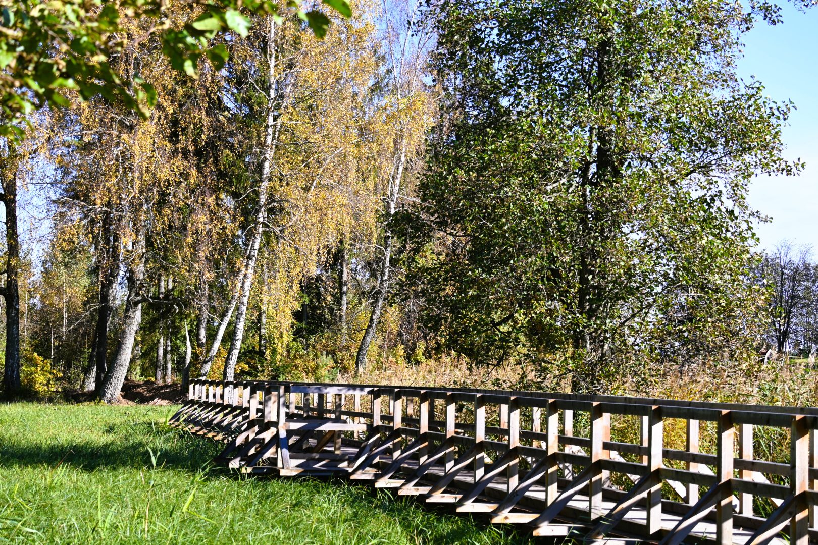 Šeirės pažintinis takas R.Brazdeikytės n_.JPG