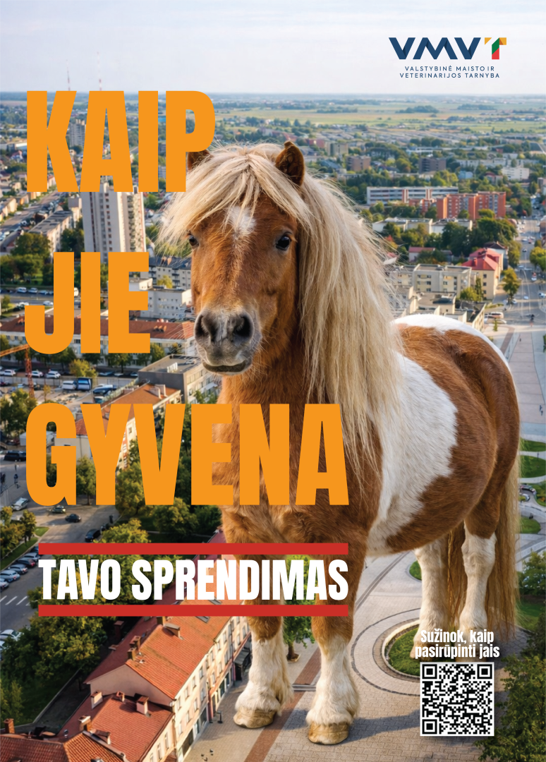 Ponis kaip jie gyvena 2026 03 18 up.png